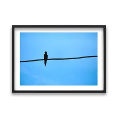 Tel Üzerinde Kuş Silüeti Posteri